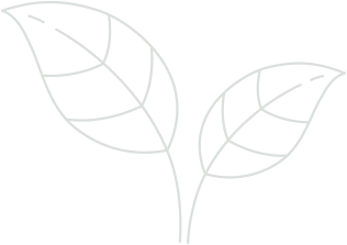 banner-leaf-2