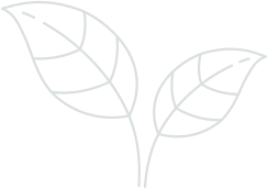 banner-leaf
